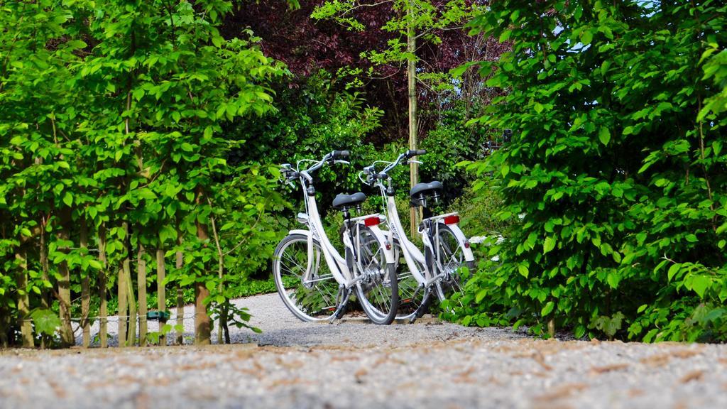 Bed & Breakfast Marcel De Business & Travel Gent